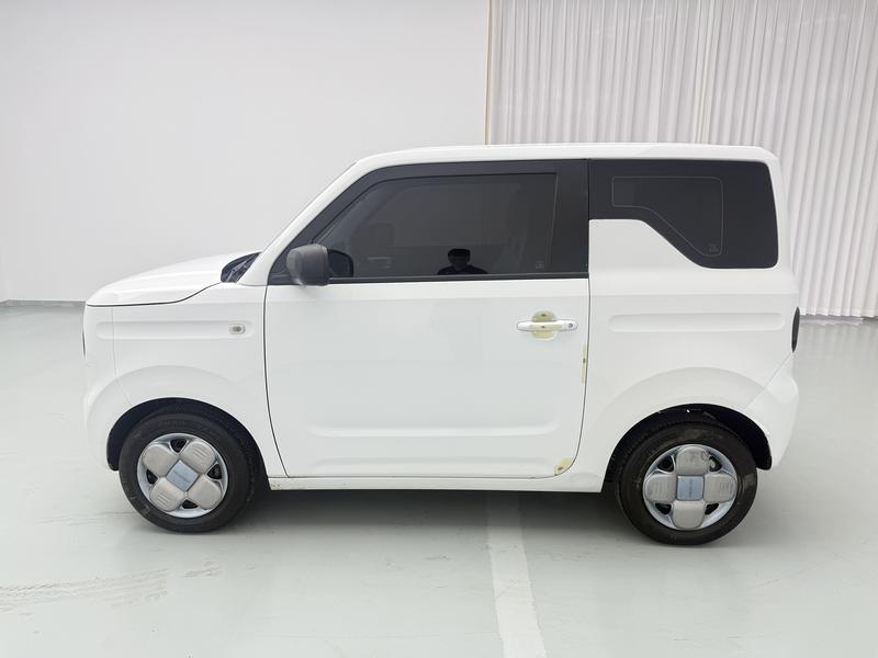 Geely Galaxy panda 2024