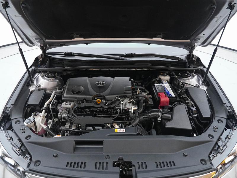Toyota Asian Dragon 2019
