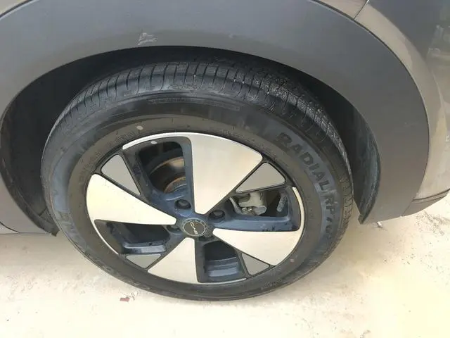 BYD dolphin Fashion edition