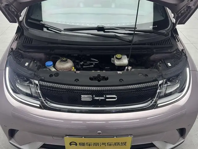BYD dolphin Fashion edition