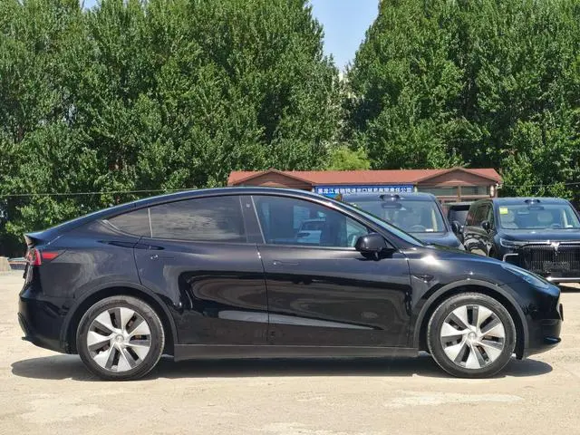 Tesla Model Y Rear-wheel drive version