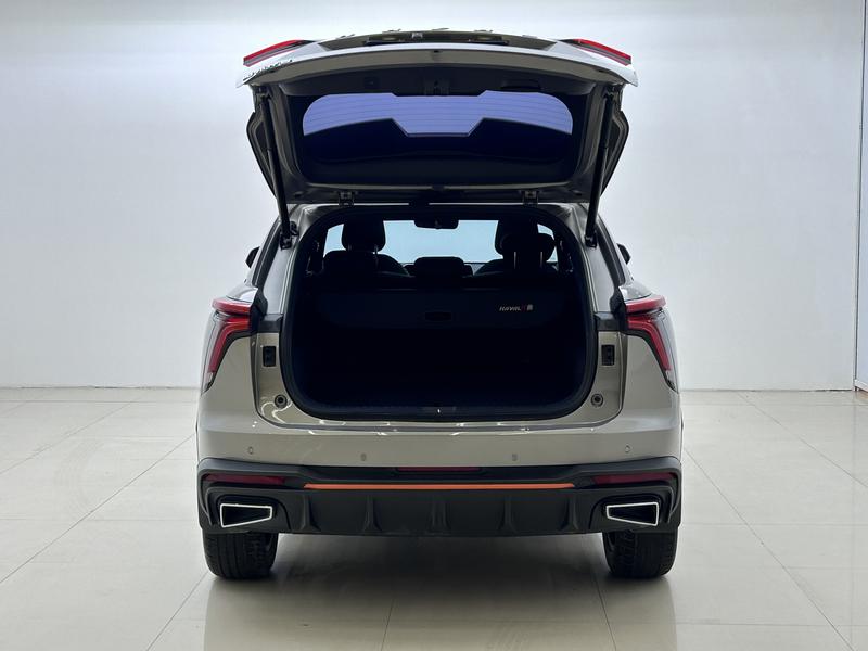Haval Haval Divine Beast 2021