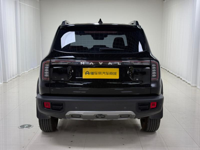 Haval Haval Big Dog 2024