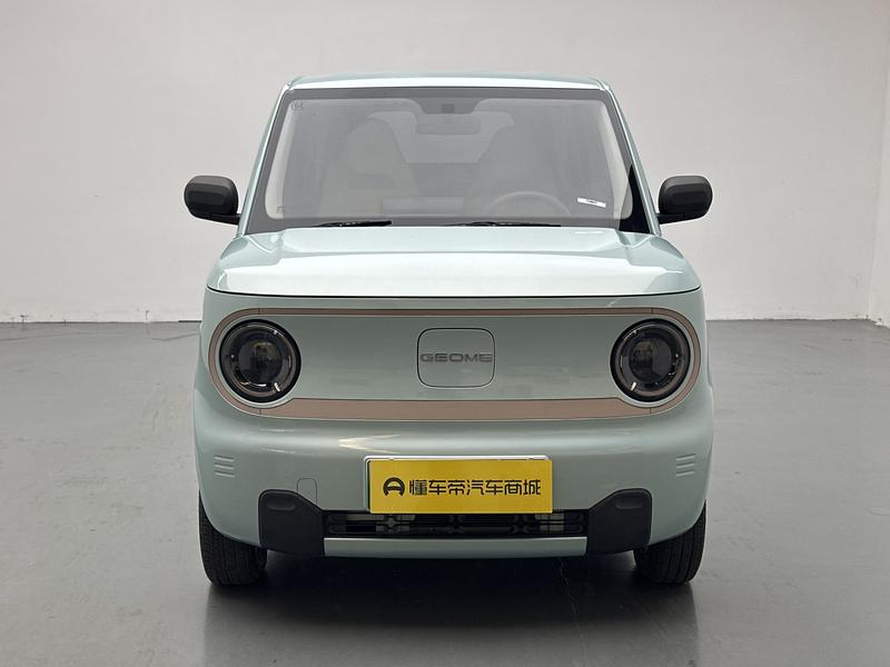 Geely Galaxy panda 2023