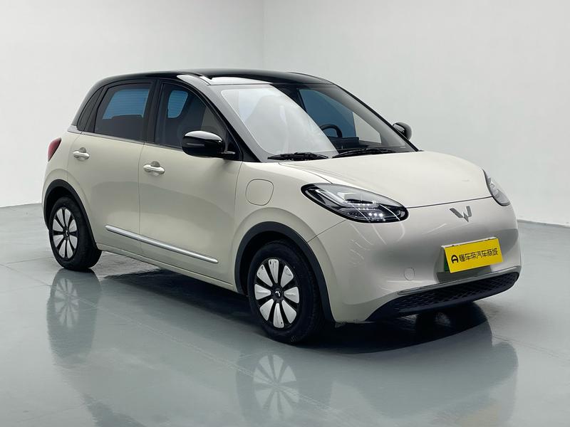 Wuling Wuling Binguo 2024