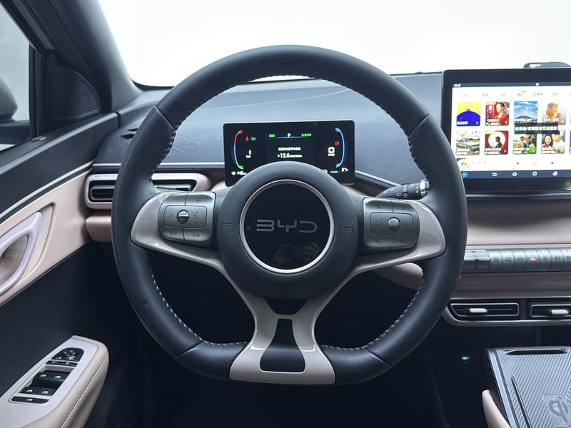 BYD seagull 2024