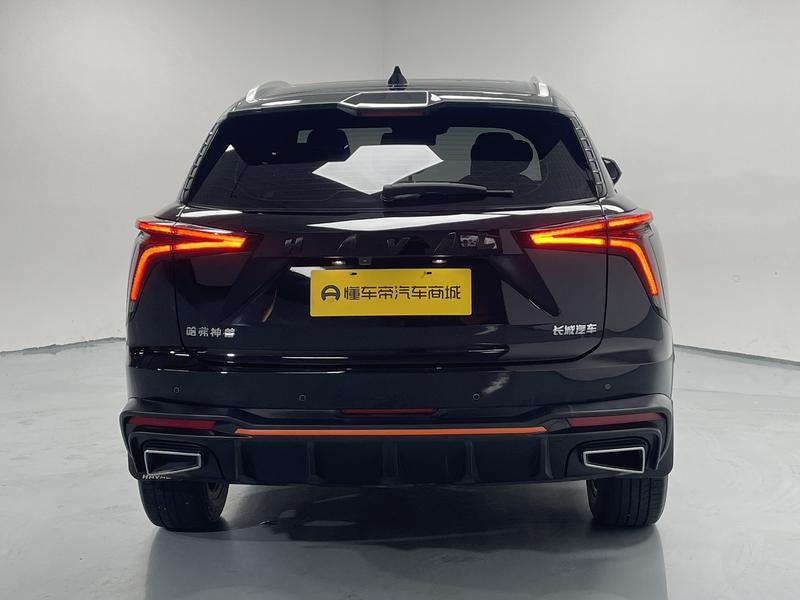 Haval Haval Divine Beast 2023