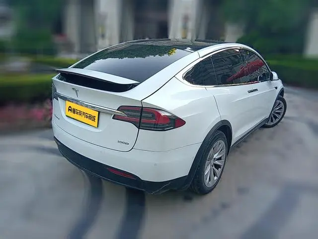 Tesla Model X 100D long battery life version