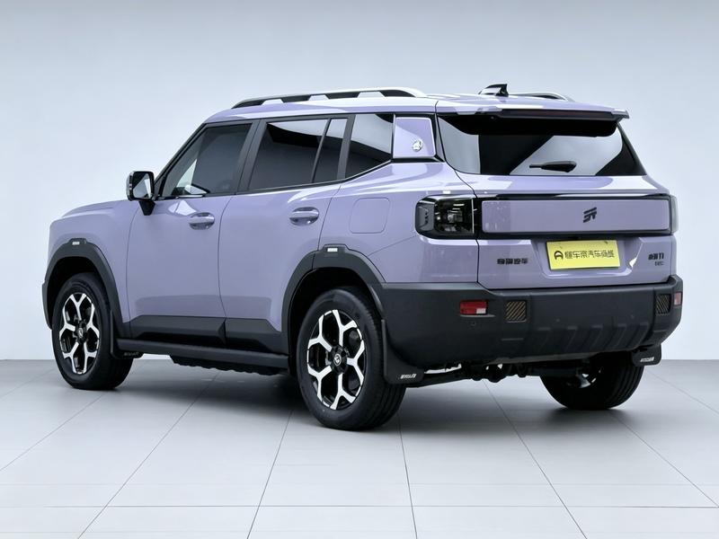 Jetour Shanhai Jietu Shanhai T1 2024