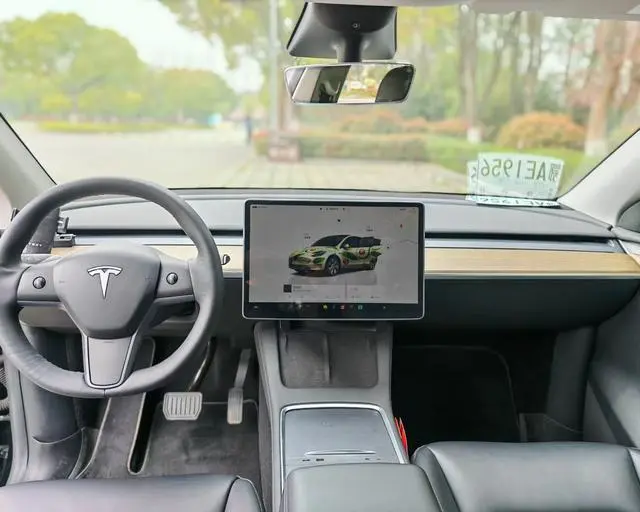 Tesla Model Y Rear-wheel drive version