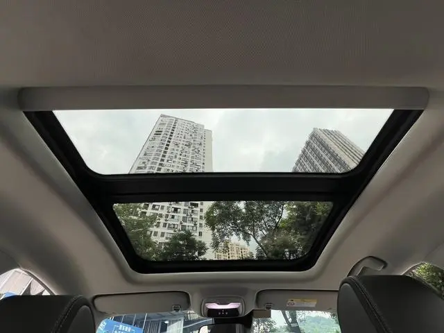 Buick Weilang Pro 533T Fun Edition