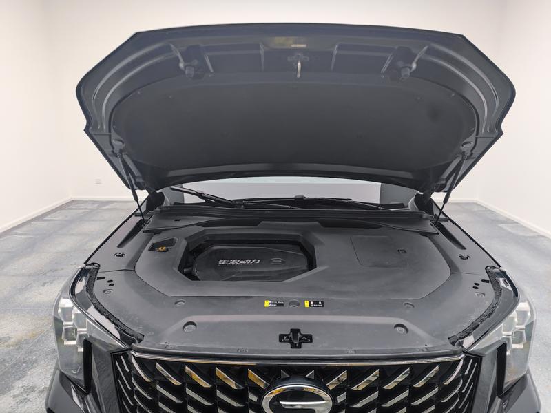 Trumpchi Trumpchi GS8 2022