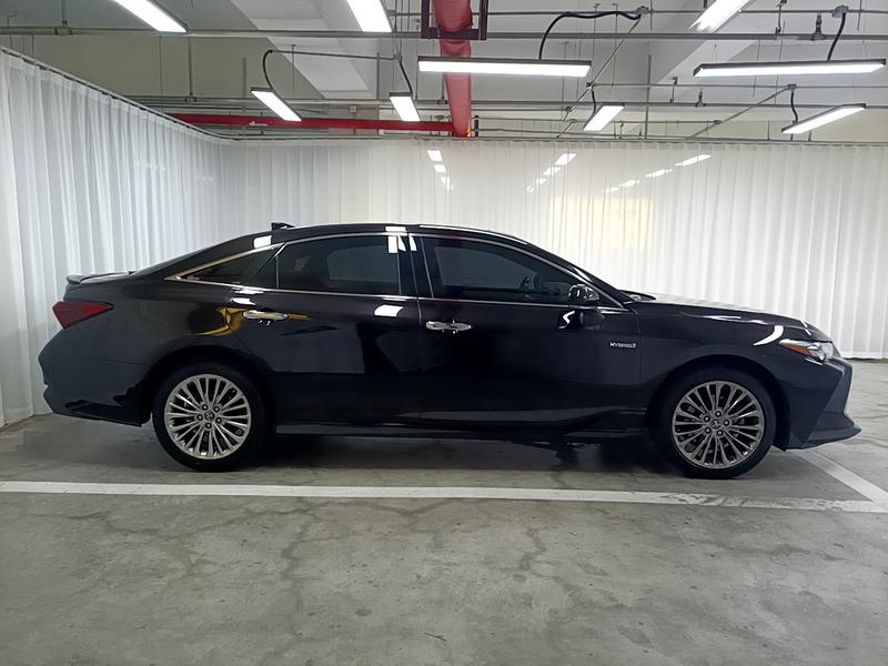 Toyota Asian Dragon 2019