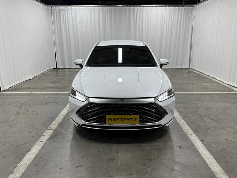 BYD Qin PLUS DM 2024