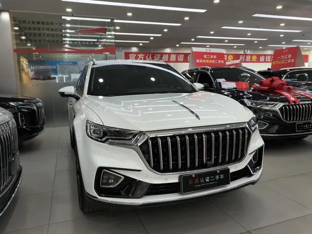 Hongqi Hongqi HS5 2.0T Zhilian Qixiang four-wheel drive version