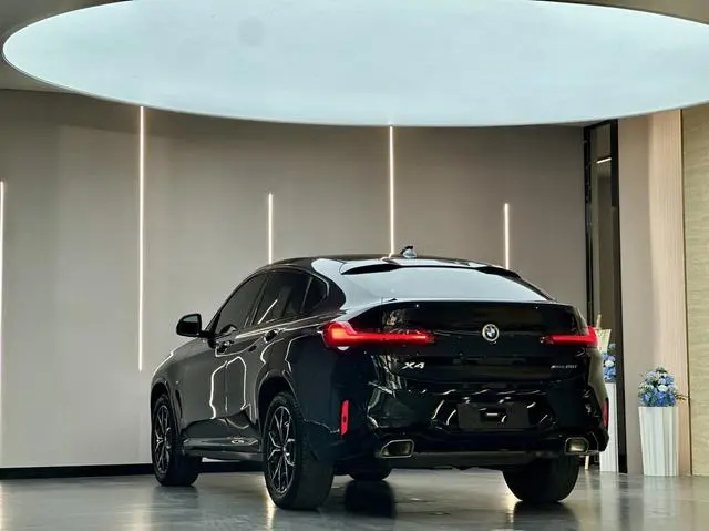 BMW BMW X4 xDrive 25i M sports suit