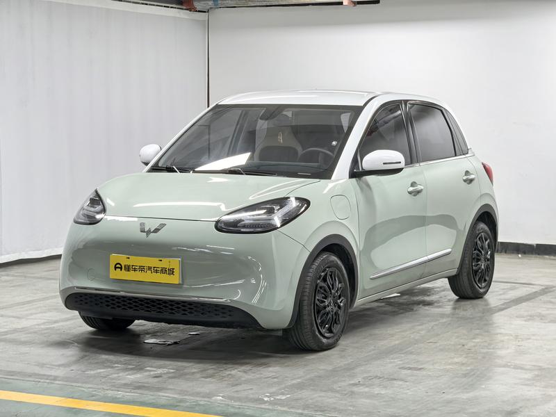 Wuling Wuling Binguo 2023