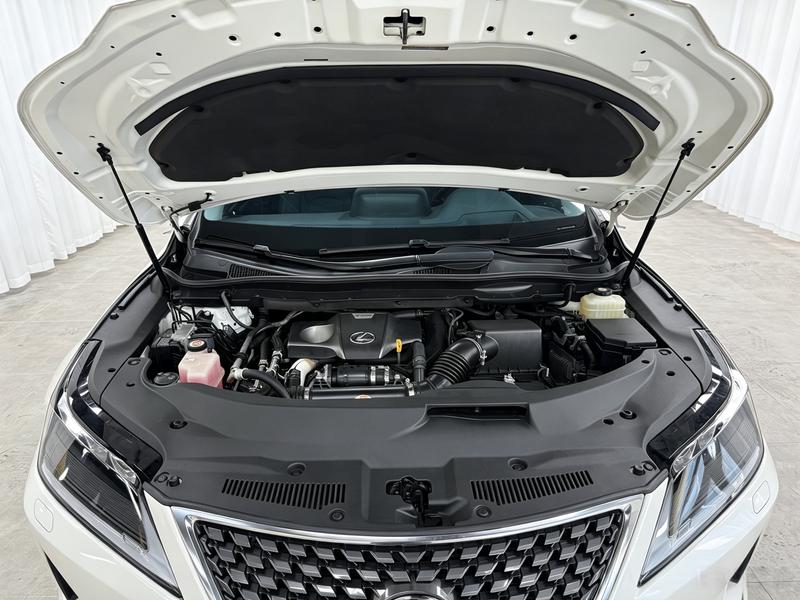Lexus Lexus RX 2020