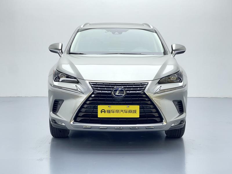 Lexus Lexus NX 2020