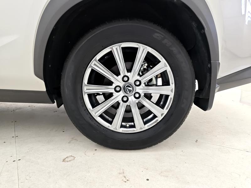 Lexus Lexus NX 2020