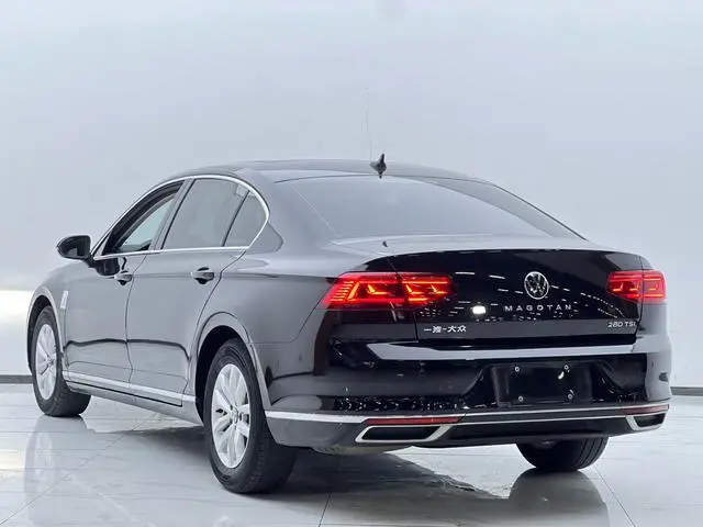 Volkswagen Magotan 280TSI DSG comfort type