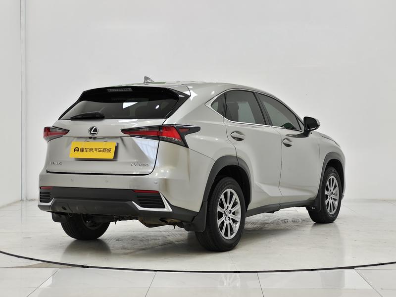 Lexus Lexus NX 2020