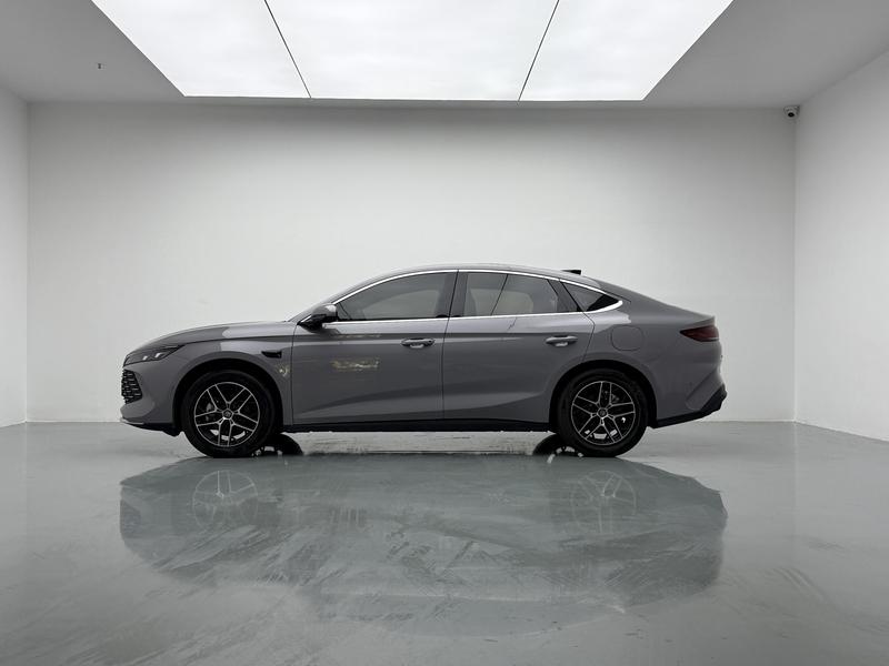 BYD Qin L DM 2026