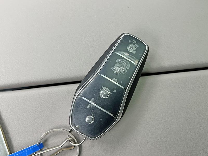 BYD Tang DM 2025