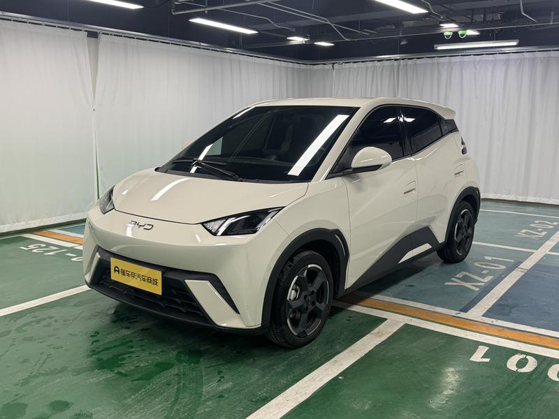 BYD seagull 2024