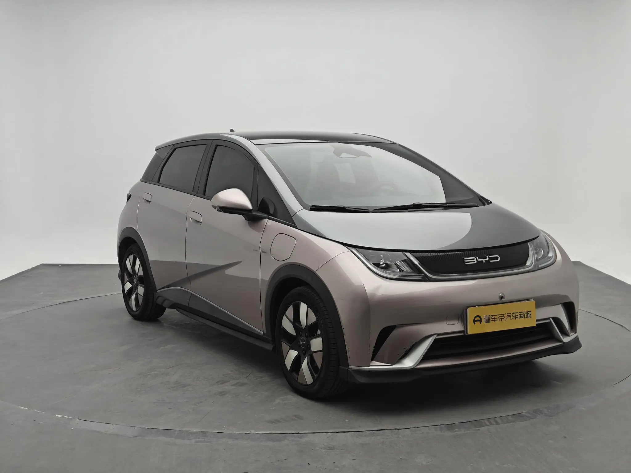 BYD dolphin Knight Edition