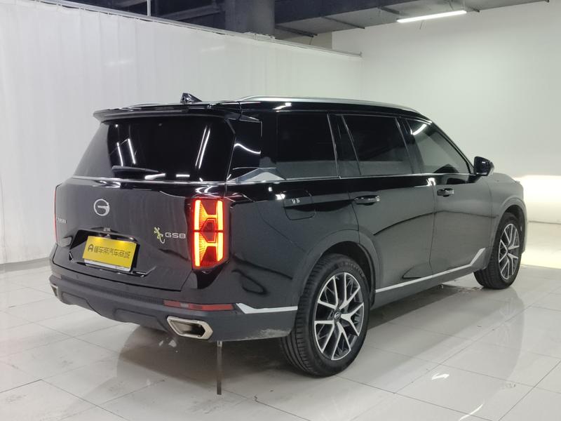 Trumpchi Trumpchi GS8 2024