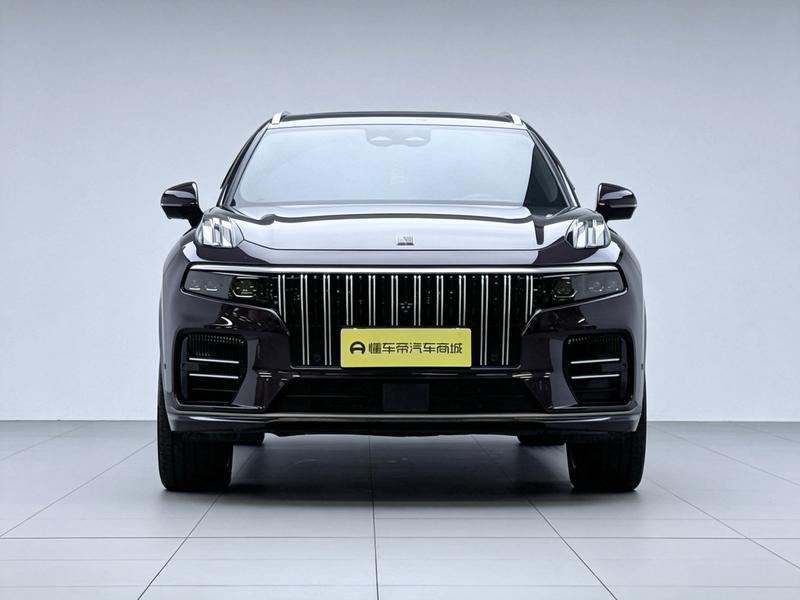 Lynk & Co Lynk&Co 09 EM-P 2021
