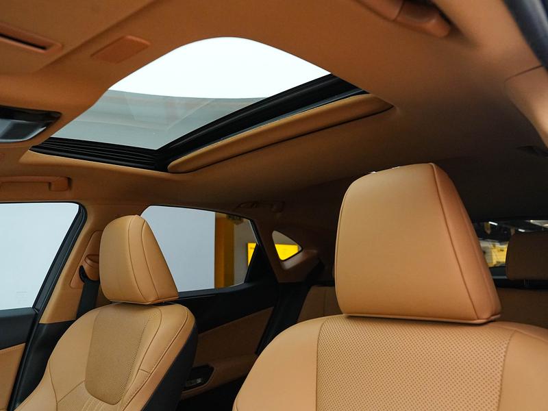 Lexus Lexus NX PHEV 2023