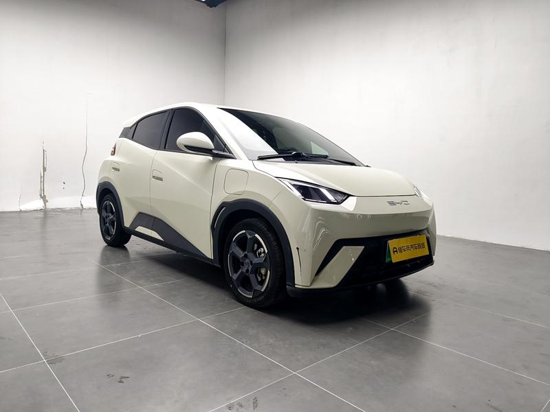 BYD seagull 2024