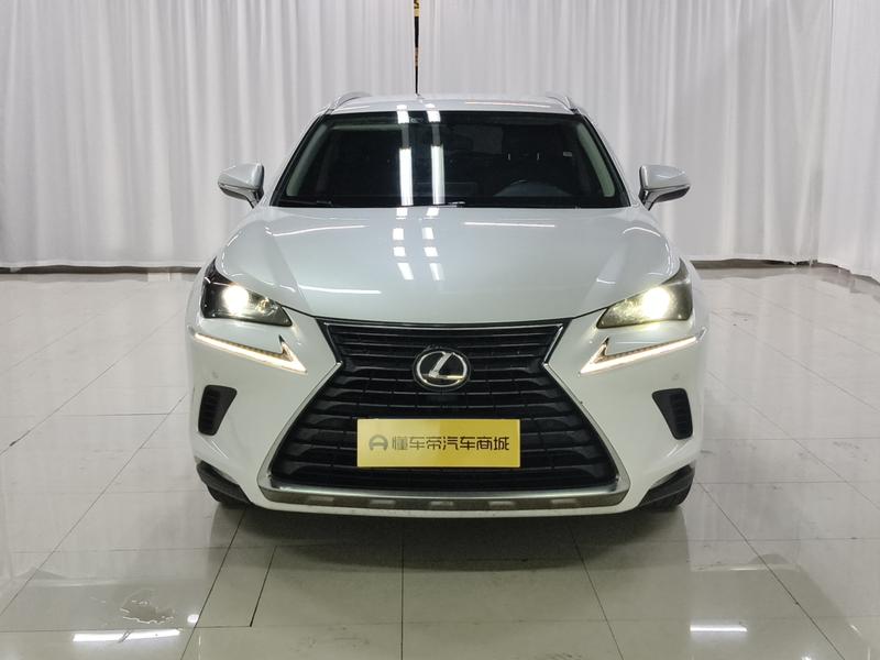 Lexus Lexus NX 2020