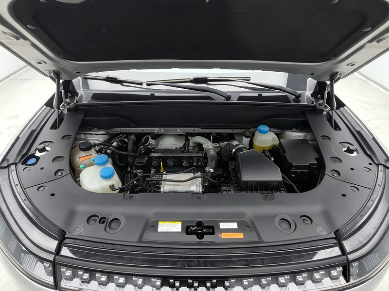 Dongfeng Yipai Eπ 008 2024