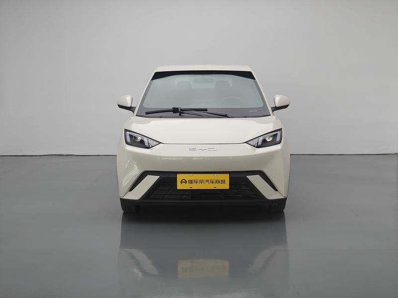 BYD seagull 2024