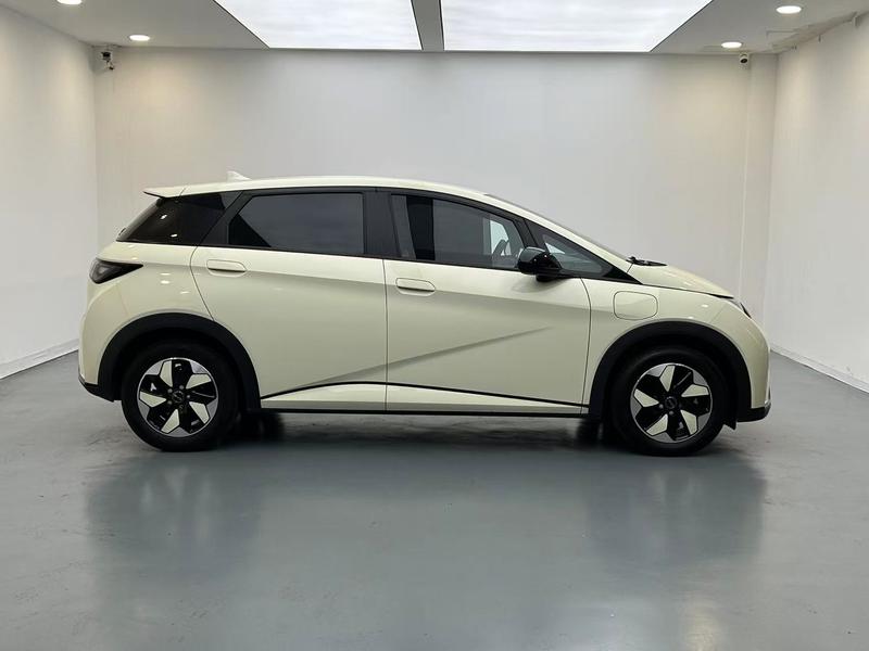 BYD dolphin 2025