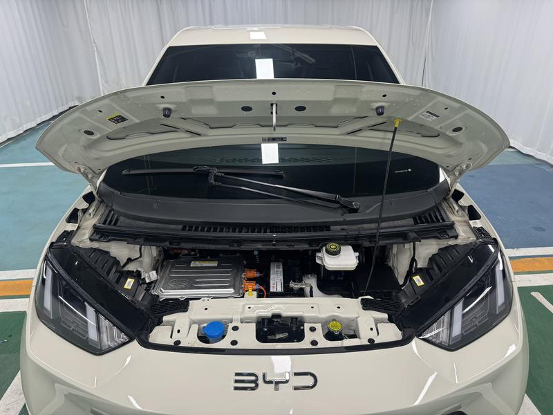 BYD seagull 2024