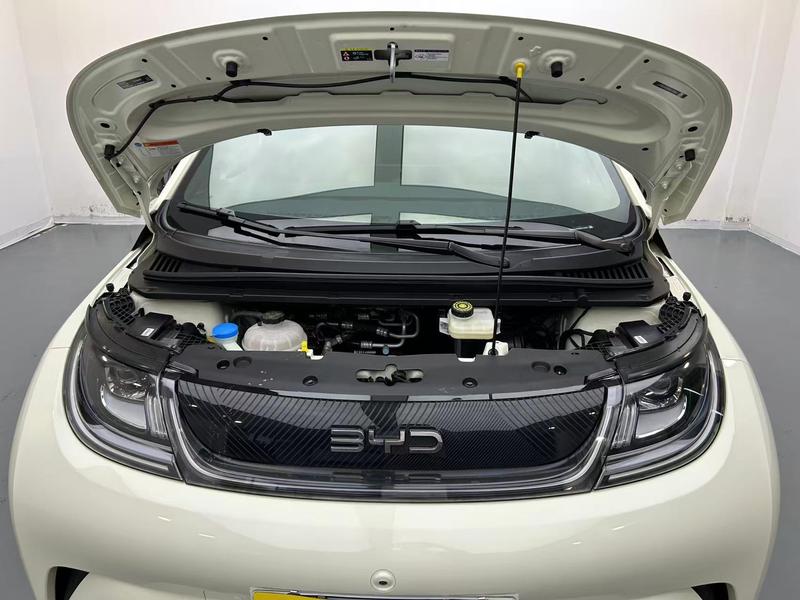 BYD dolphin 2025