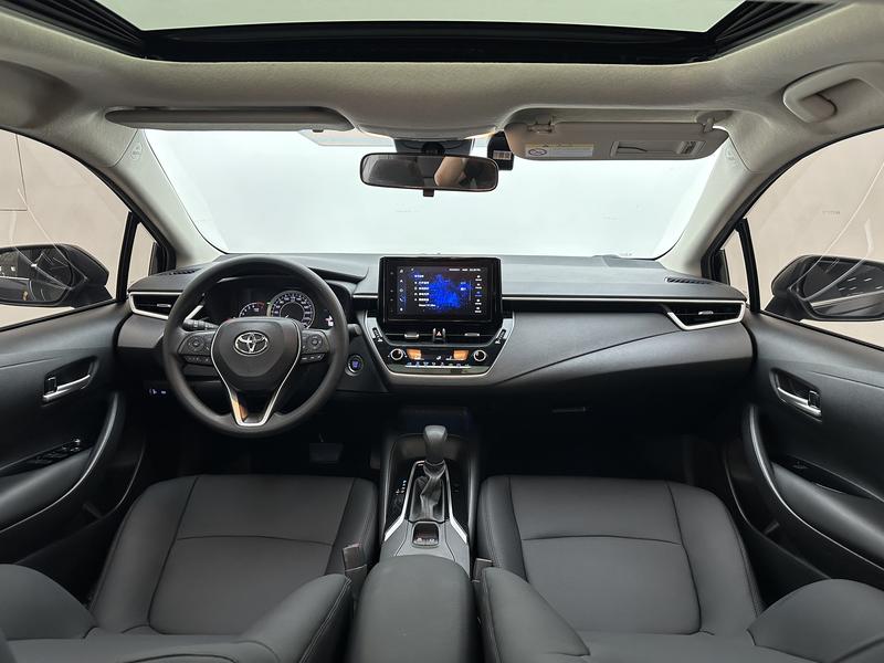 Toyota Asian lion 2021