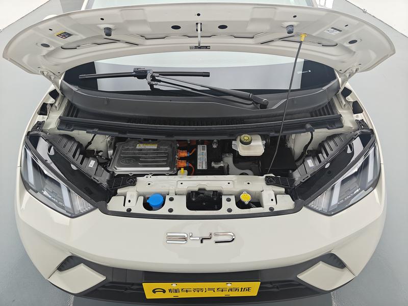 BYD seagull 2024