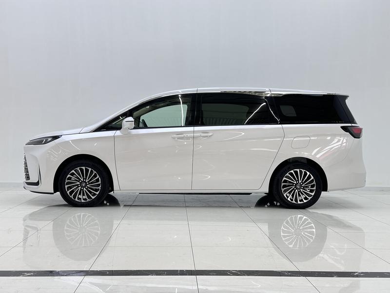Buick Buick GL8 PHEV 2025