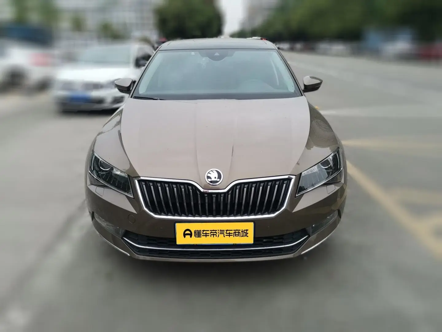 Skoda Speed pie ZI330 DSG Smart Edition
