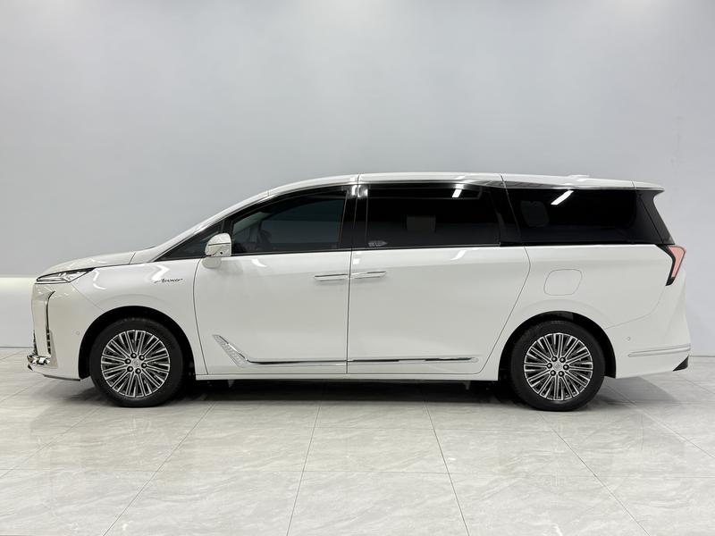 Buick Buick GL8 PHEV 2024