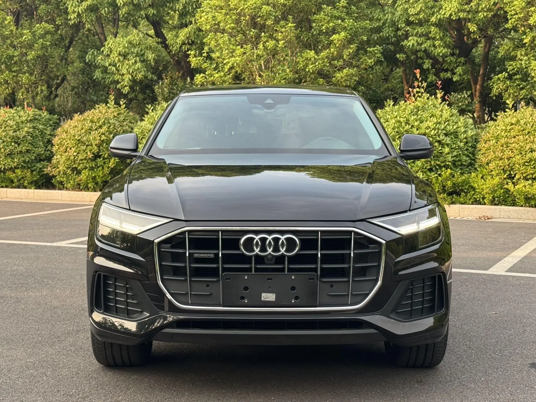 Audi Audi Q8 45 TFSI luxury Elegant Type