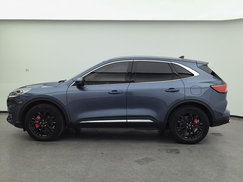 Ford Ruiji 2020