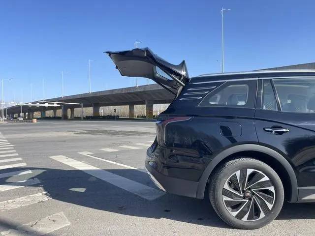 Hongqi Hongqi HS7 PHEV 2.0T four-wheel drive Qichang version 6 seats