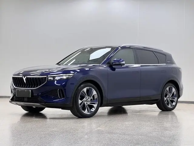 VOYAH Lan Tu FREE Four-wheel drive standard range extension exclusive luxury set