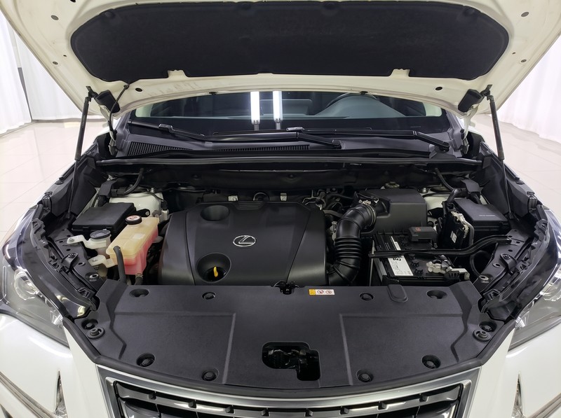 Lexus Lexus NX 2020